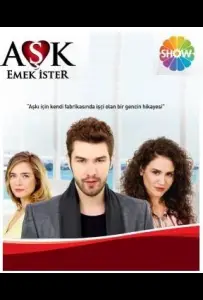 Любовь требует усилий (сериал 2013)