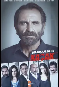 Беглец (сериал 2013)