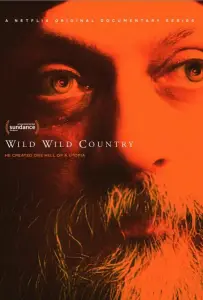 Дикая-дикая страна (сериал 2018)