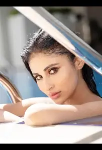 Советник (сериал 2025)